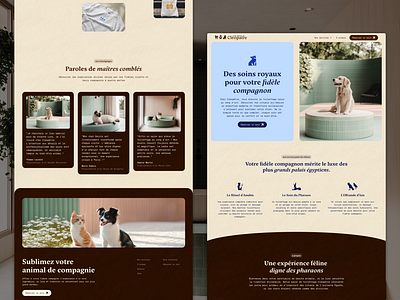 Les bains de Cléopatre - Web Design animal branding cat cleopatre design dog egypte graphic design illustration interaction design interface logo luxe ui user experience ux ux design web design website website design