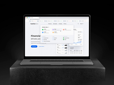 Site navigation for Twelve Data crypto finance fintech forex graphic design icons interface site navigation stocks ui web website