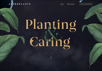 Astroplant — A Journey Through the Stars and Nature ✨ animation creativeconcept emotionaldesign immersiveexperience mindfulness selfdiscovery storytelling web design zodiac