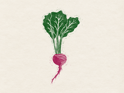 illustration: beet veggie beet beet root colorful fun illustration linocut simple vegetable