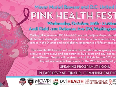 Pink Health Festival in Washington DC branding design graphic design illustration vector