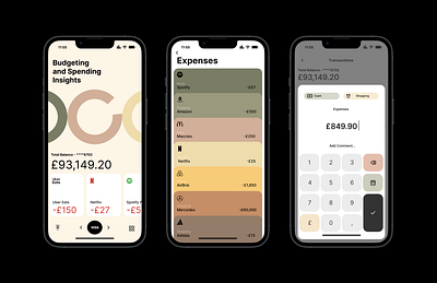 Budget and Spending Design app branding budget design graphic design product design spending ui vector