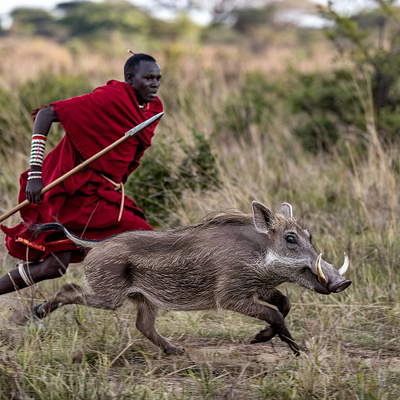 Maasai art depicting the pursuit of a warthog