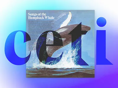 Project CETI: Design Case Study branding graphic design logo ui