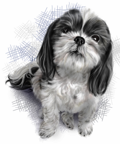 The Look digital art digital drawing digital illustration dog illustration pet portrait