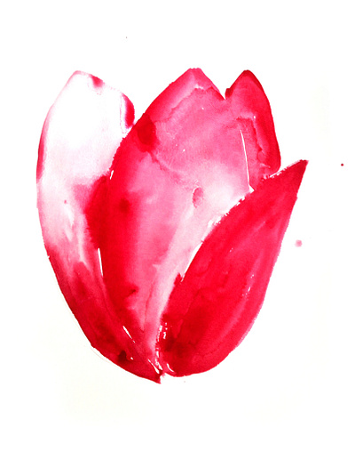 Tulip, acrylic ink