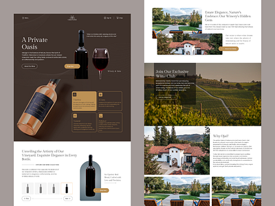 Wine Website UI Design ui uiux user interface ux website website design website ui