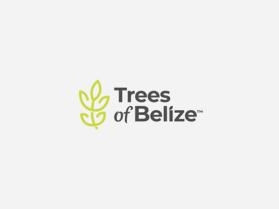 Concept logo for a non-profit environmental organization b2b b2c branding clean design environmental green leaf logo logo design minimal modern natural nature non profit organization simple tree