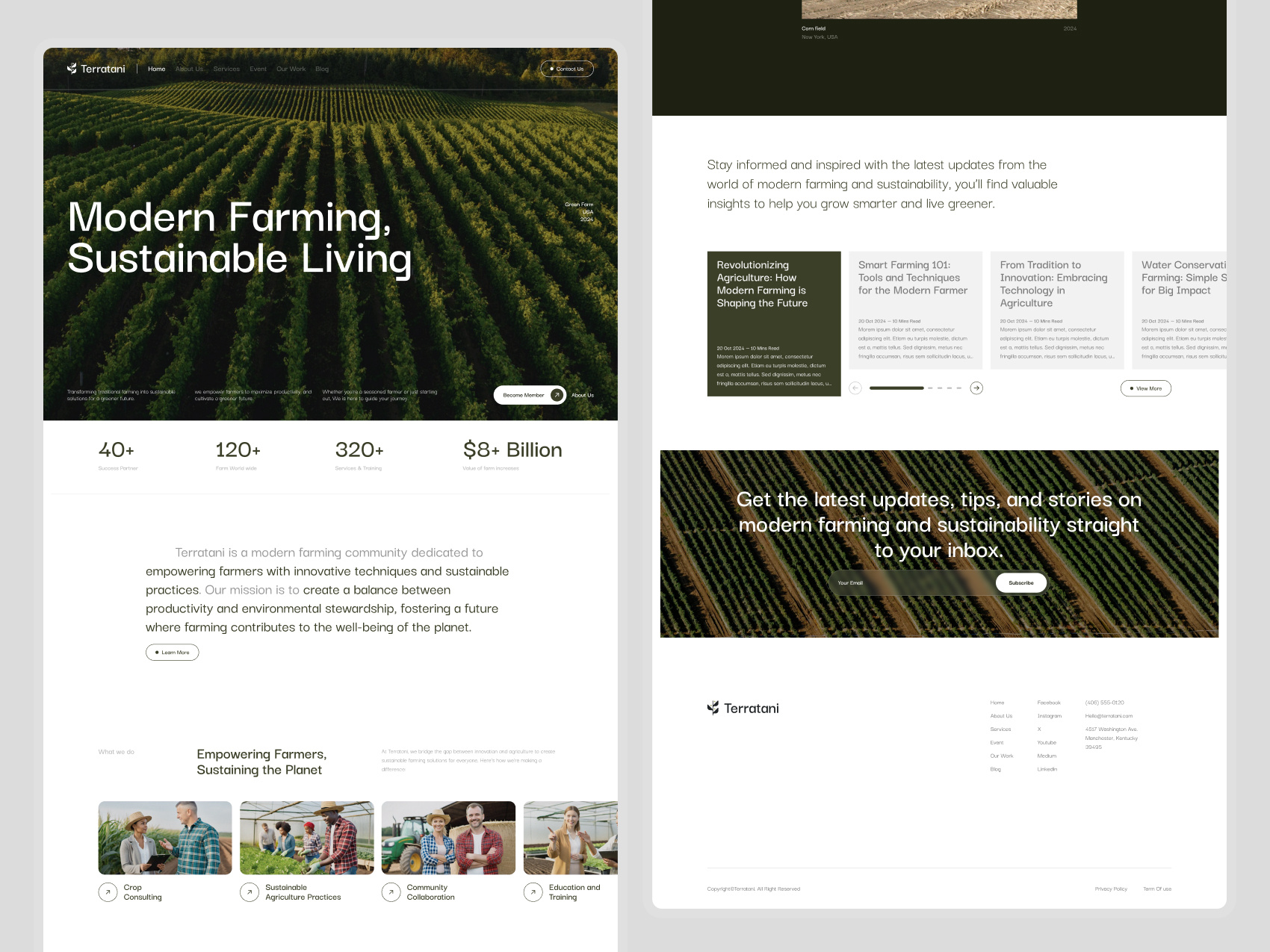 Example of Web Design