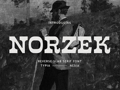 Norzek - Reverse Slab Serif