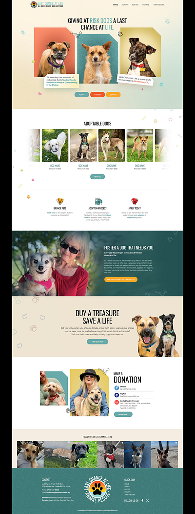 Dog Website Design design graphic design layout ui ux website