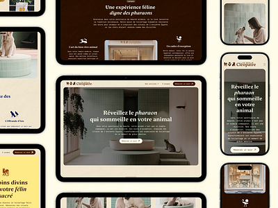 Case Study : Les bains de Cléopatre - Branding & Web Design animal cat cleopatre dog egypte interaction design luxe ui