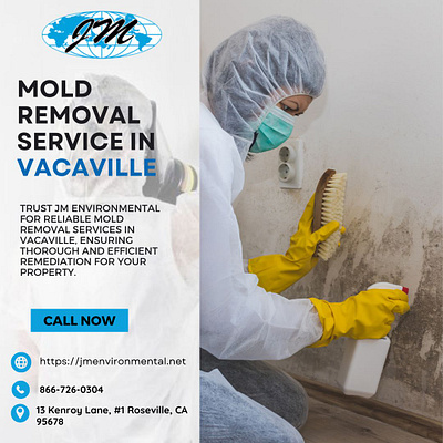 Mold removal service in Vacaville - JM Environmental