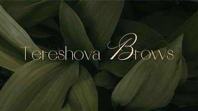 Logo for brow master branding design logo