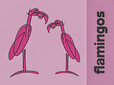 flamingos illustration illustrator line drawing matte nature pastel photoshop typography