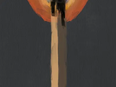 Life of a Match. 2 illustration procreate