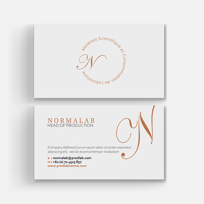 Business card branding design graphic design illustration logo