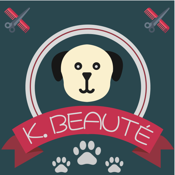 Example of Création logo Toilettage