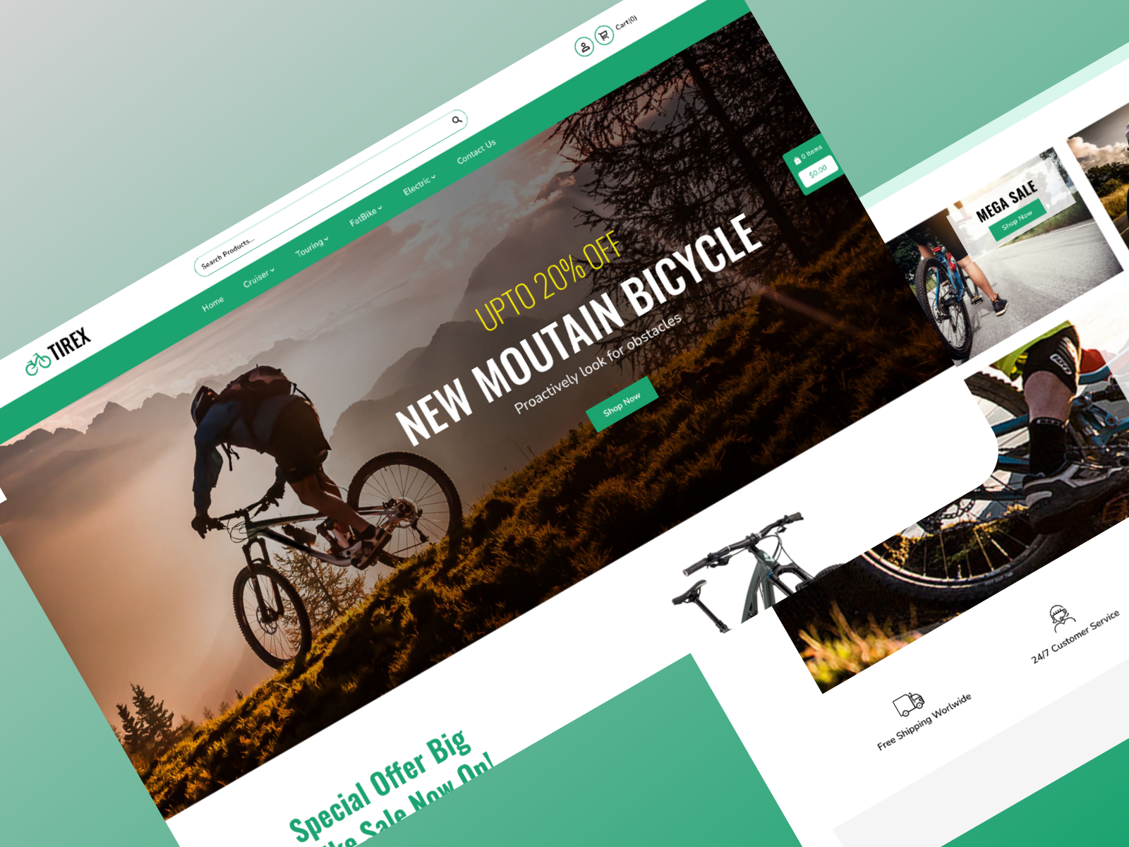 Example of High Converting E Commerce Website