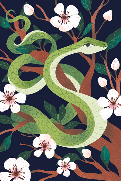 Snake and apple tree animal art digital flat flowers hand drawn illustration mystic nature procreate snake