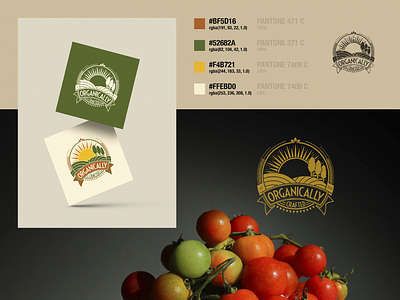 Branding identity for client in the organic / bio food market badge logo bio bio food bio products brand identity circular logo food logo green food hand drawn logo healthy healthy food logo logo design natural organic organic food organic products vegetables vintage logo visual identity