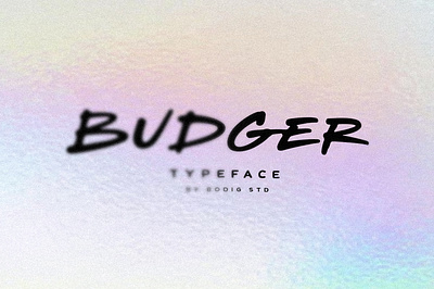 Budger Font allcaps brush budger design font handlettering handwritten lettering sans typeface typography typology