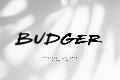 Budger Font allcaps brush budger design font handlettering handwritten lettering sans typeface typography typology