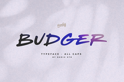 Budger Font allcaps brush budger design font handlettering handwritten lettering sans typeface typography typology