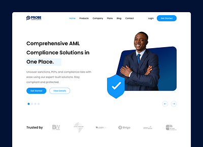 Landing Page - Probe Compliance graphic design illustration logo ui ux vector web website