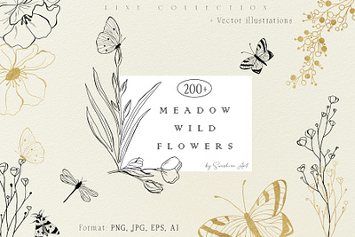 Meadow wild flowers - line Art Collection art botanical botanical borders botanical illustration creativity eps greeting card hand drawing handmade illustration line art line art leaves line collection meadow flowers outline outline flowers party png sketch sketch flowers template