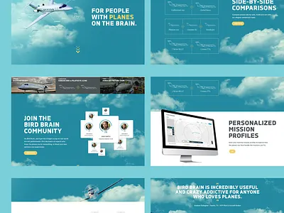 Birdbrain Website airline airplanes aviation birdbrain