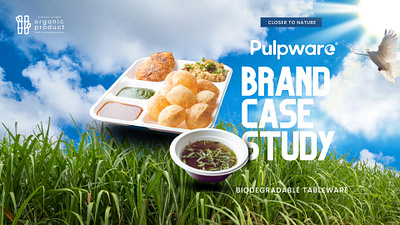 Pulpware Brand Development brand development branding graphic design logo design marketing packaging website design
