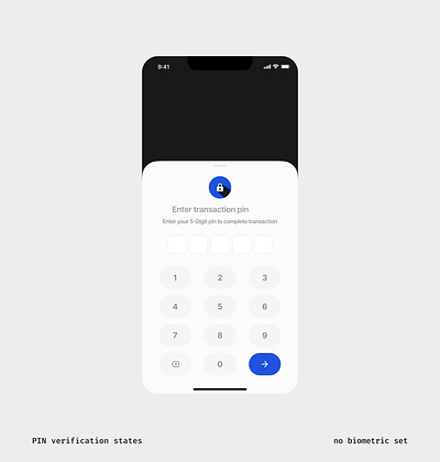 PIN verification states fintech pin states ui verification