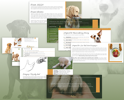 Presentation Eden branding figma graphic design pets presentation