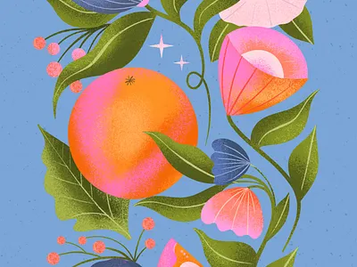 Flowers and Fruit Illustration illustration procreate surface design