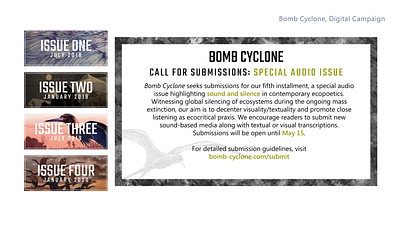 Bomb Cyclone, Digital Campaign branding graphic design social media