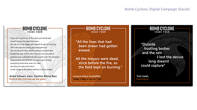 Bomb Cyclone, Digital Campaign (Social) branding graphic design social media