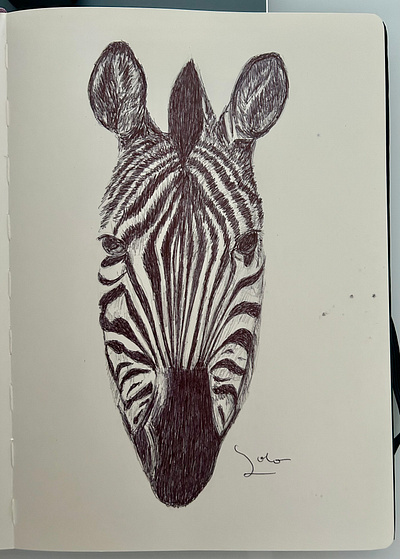 Ballpen Zebra 🦓 animal ballpen design drawing illustration moleskine parkerpen sketch zebra