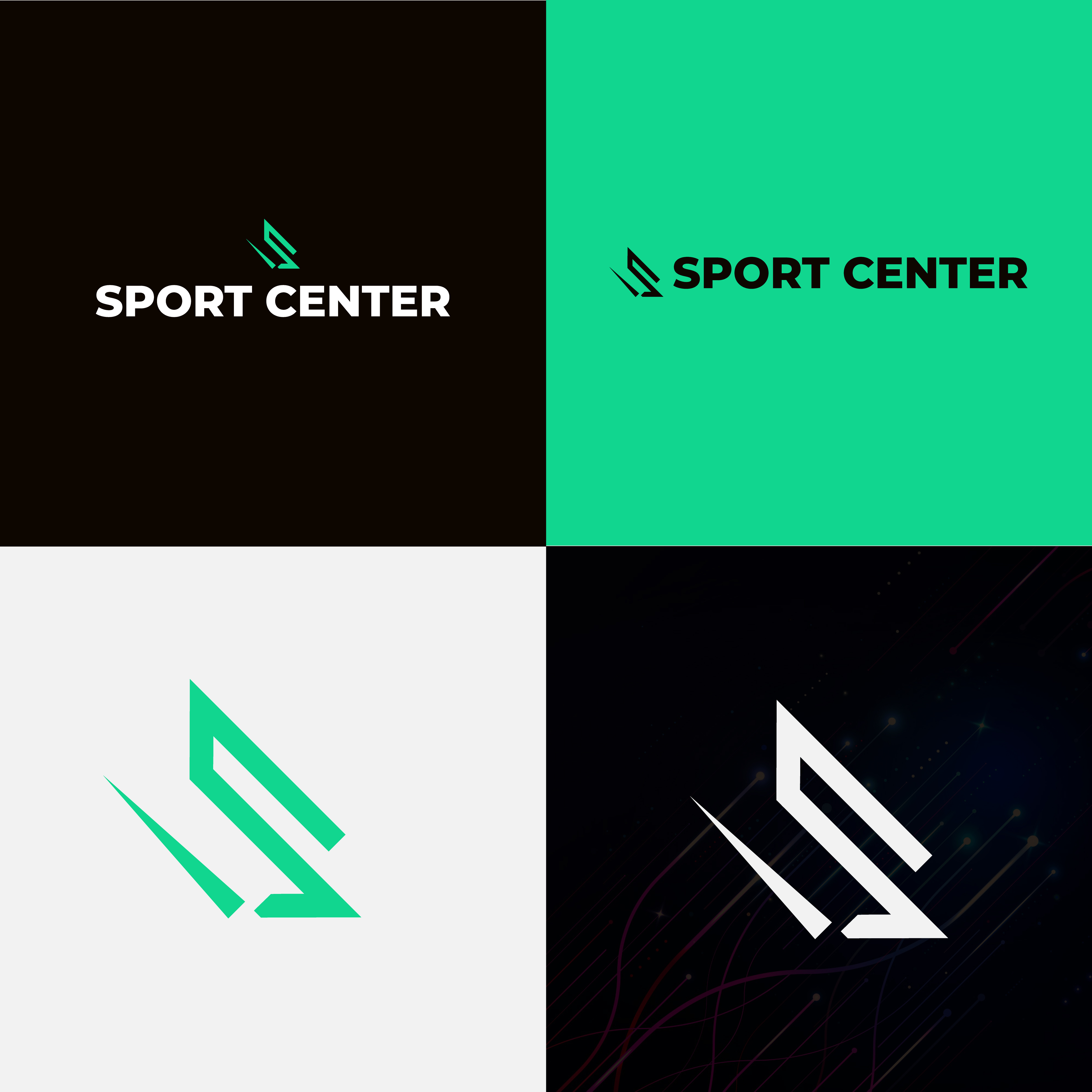 Example of You Will Get I Will Design Logo