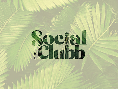 The Social Clubb branding brand identity brand visual branding business branding club brand logo club brand visuals club branding creative social club logo custom club brand logo elegant typography exclusive club branding greenery inspired branding inclusive social club identity nature inspired logo ideas product branding social club branding social event branding social hub brand the social clubb tropical leafs inspired logo