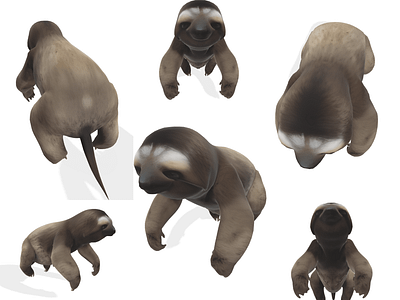 3D Chill the Stylized Sloth Model digit