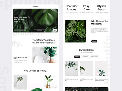 🌿 Sproutify - Plant Shop Clean Minimalist UI/UX 🌱 cleanui dribbbleshots ecommerceui figmadesign greenerydesign interfacedesign minimalistui modernux natureinspireddesign plantshopdesign productdesign responsivedesign shopui sustainabledesign ui uiinspiration uiuxdesign userexperience visualhierarchy webdesign