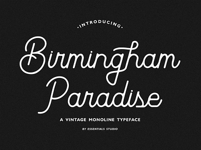 Birmingham Paradise - Vintage Monoline Font branding branding font corporate font fonts handlettered handlettering handscript handwritten font lettering logo logotype modern font monoline font packaging retro font script font stylish font type artist typeface vintage font