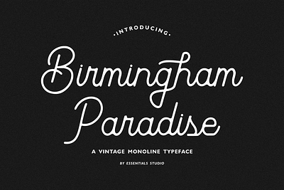 Birmingham Paradise - Vintage Monoline Font branding branding font corporate font fonts handlettered handlettering handscript handwritten font lettering logo logotype modern font monoline font packaging retro font script font stylish font type artist typeface vintage font