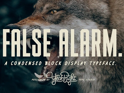 False Alarm Typeface alarm block font condensed display display type false false alarm typeface font font typeface fonts commercial use type typeface typeface design typeface font typography