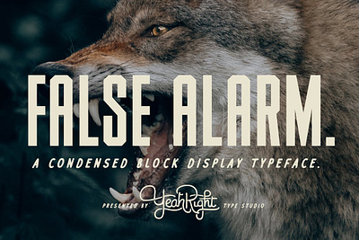 False Alarm Typeface alarm block font condensed display display type false false alarm typeface font font typeface fonts commercial use type typeface typeface design typeface font typography