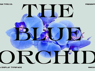 TAN - THE BLUE ORCHID elegant font fashion font luxury font old world retro font stylish font tan the blue orchid traditional serif vintage font wide serif