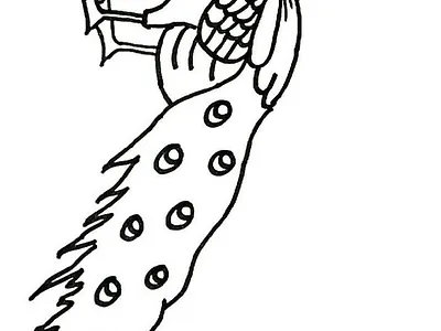 Peacock Coloring Pages (Free PDF Printables)