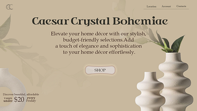 Homepage Concept for a Vase Website app branding design graphic design illustration logo typography ui ux vector