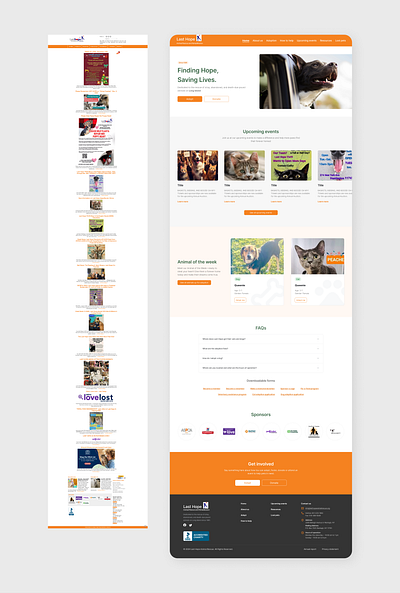 Animal Rescue Website Redesign branding graphic design ui